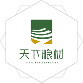 AV插逼